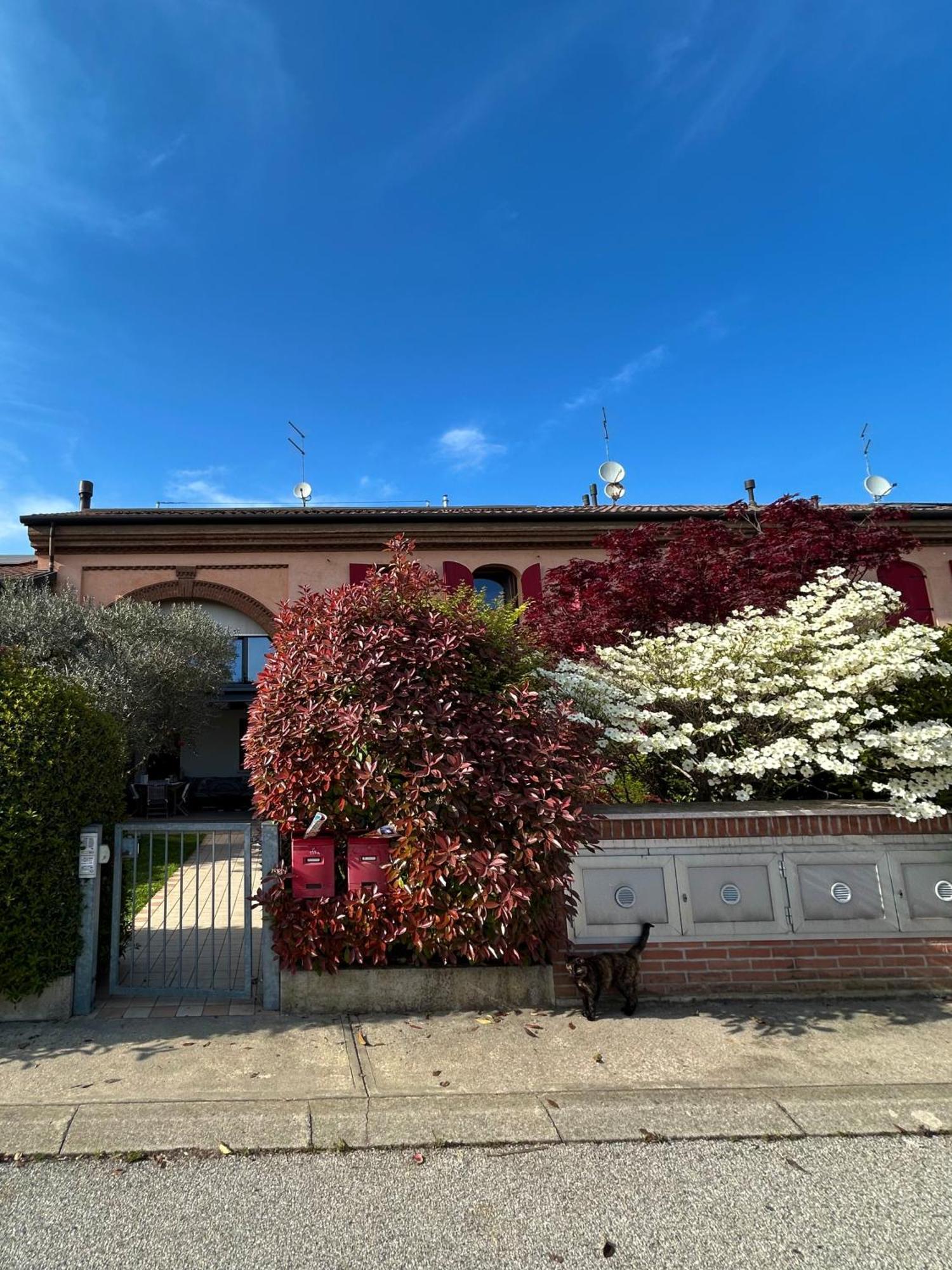 Soranza Suite Castelfranco Veneto Exterior photo